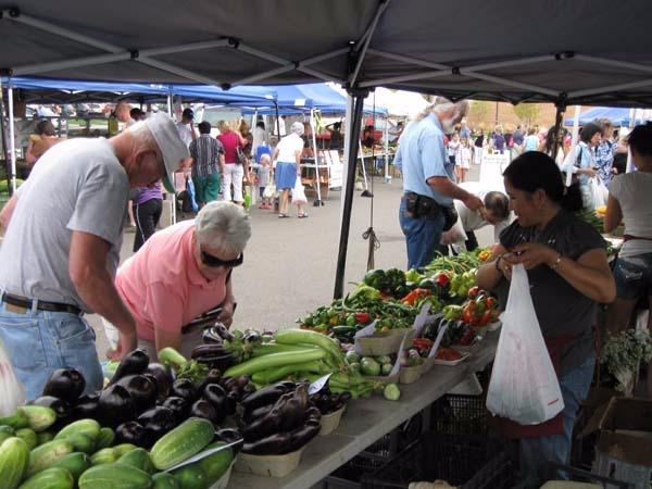 Maple Grove Farmers Market | 12951 Weaver Lake Rd, Maple Grove, MN 55369, USA | Phone: (763) 494-5955