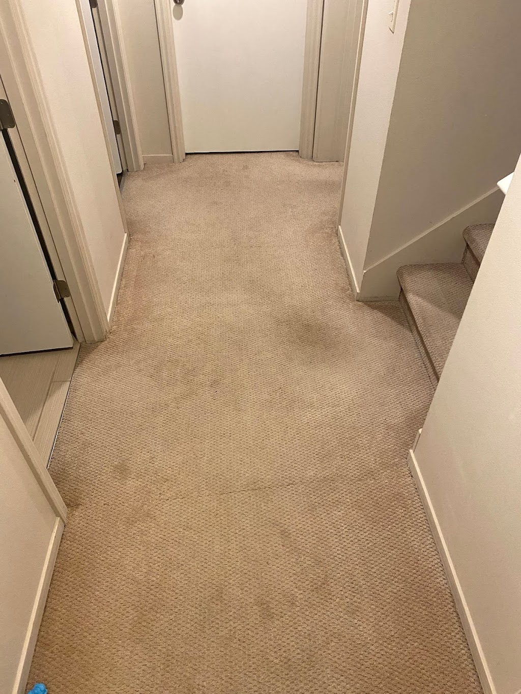 Johns Carpet Repair | 845 NE 95th St, Seattle, WA 98115, USA | Phone: (206) 524-8821