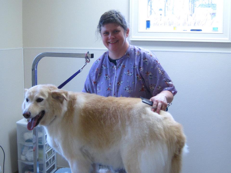 Winterfield Veterinary Hospital | 3746 Winterfield Rd, Midlothian, VA 23113, USA | Phone: (804) 897-8522