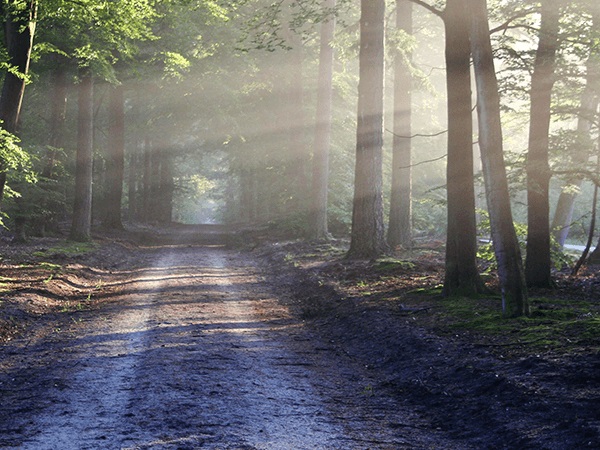 Ogle & Paul R. Young Funeral Home | 5086 College Corner Pike, Oxford, OH 45056, USA | Phone: (513) 523-4411