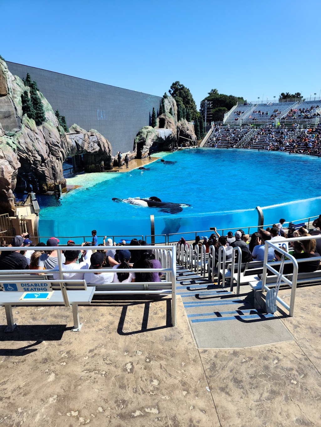 SeaWorld San Diego | 500 Sea World Dr., San Diego, CA 92109, USA | Phone: (619) 222-4732