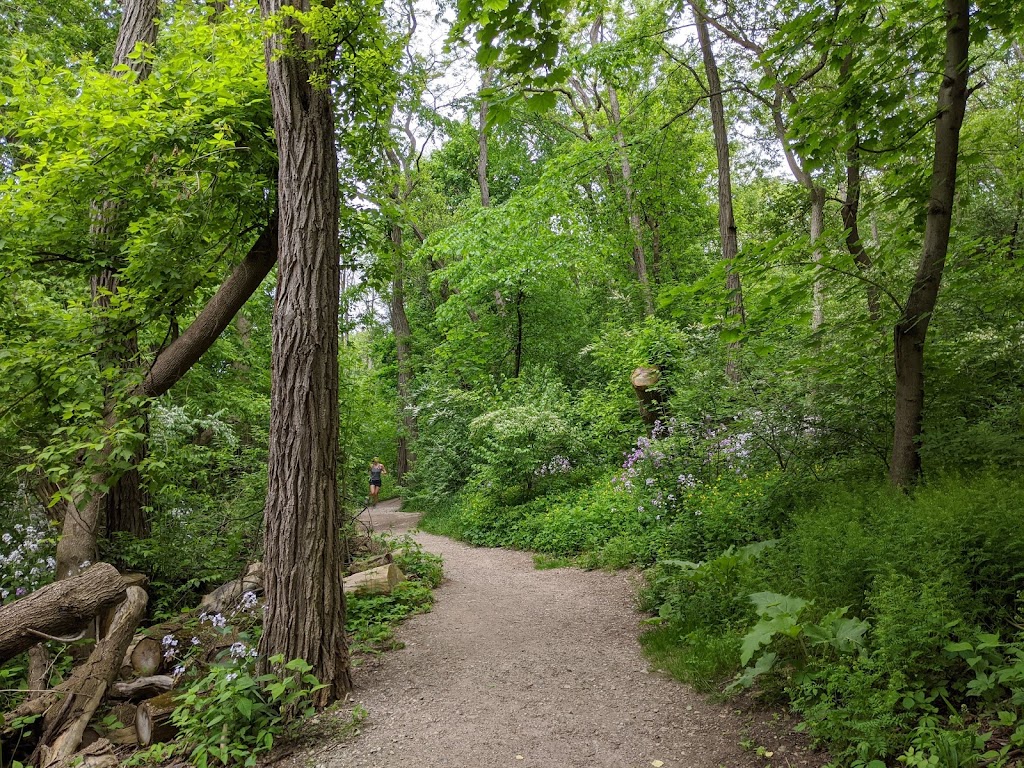 Argo Nature Area | Longshore Dr, Ann Arbor, MI 48104, USA | Phone: (734) 794-6110