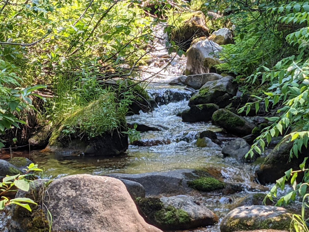 Hayfork Group Campground | ID-21, Idaho City, ID 83631, USA | Phone: (208) 392-6681