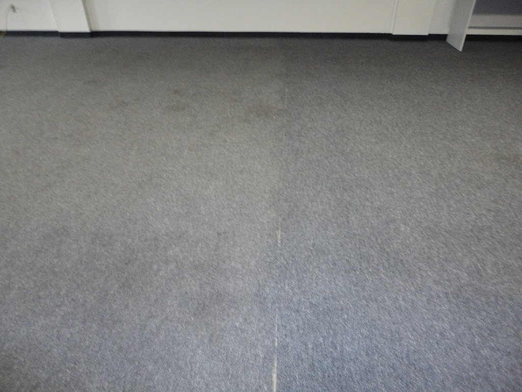 AMS Carpet Cleaning, LLC | 590 Albion Rd, Edgerton, WI 53534, USA | Phone: (920) 723-1188
