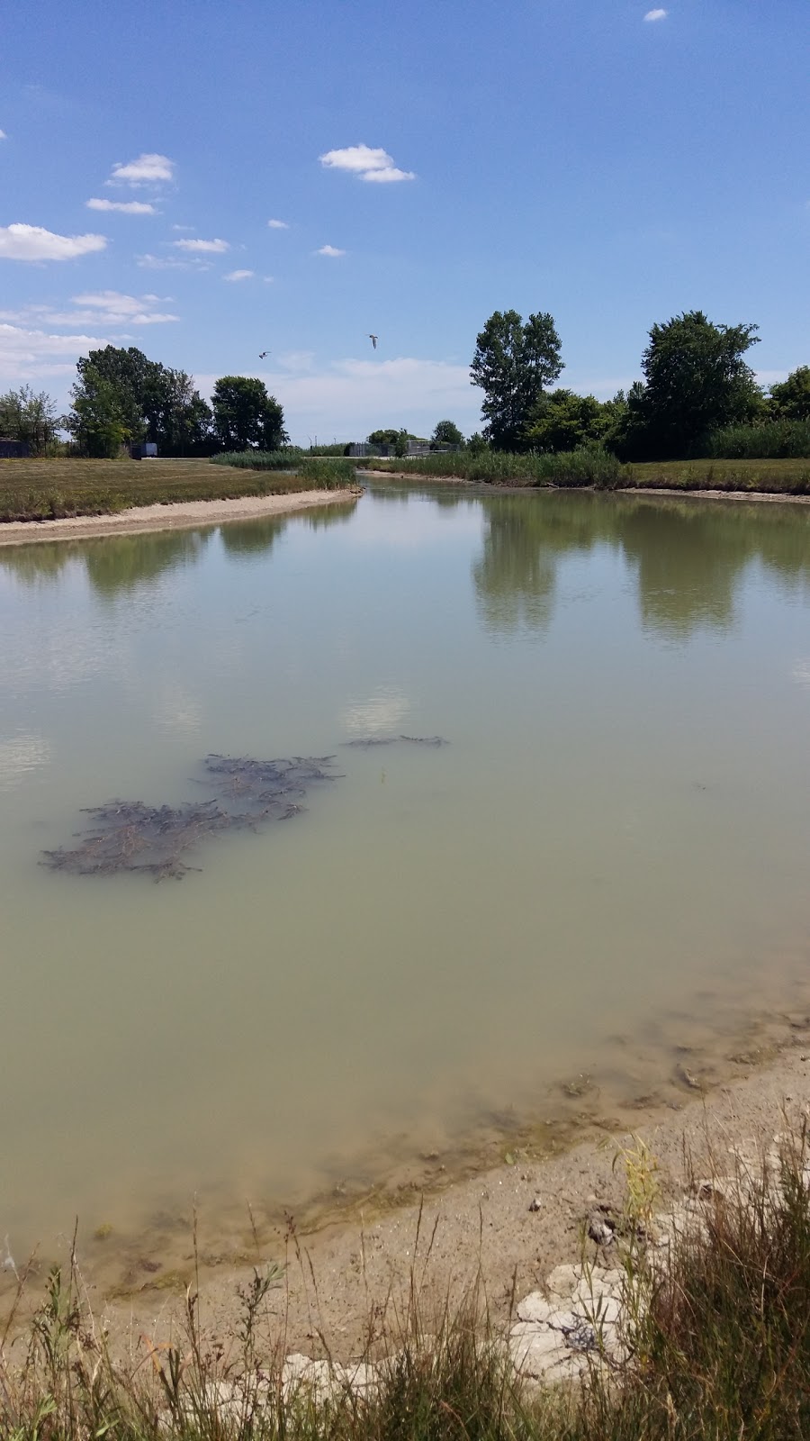 Duck Creek Park | 131 Duck Creek Blvd, Belle River, ON N0R 1A0, Canada | Phone: (519) 728-2700