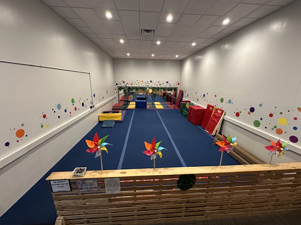 Youngstown Gymnastics Center | 5500 Market St, Youngstown, OH 44512, USA | Phone: (330) 782-5629