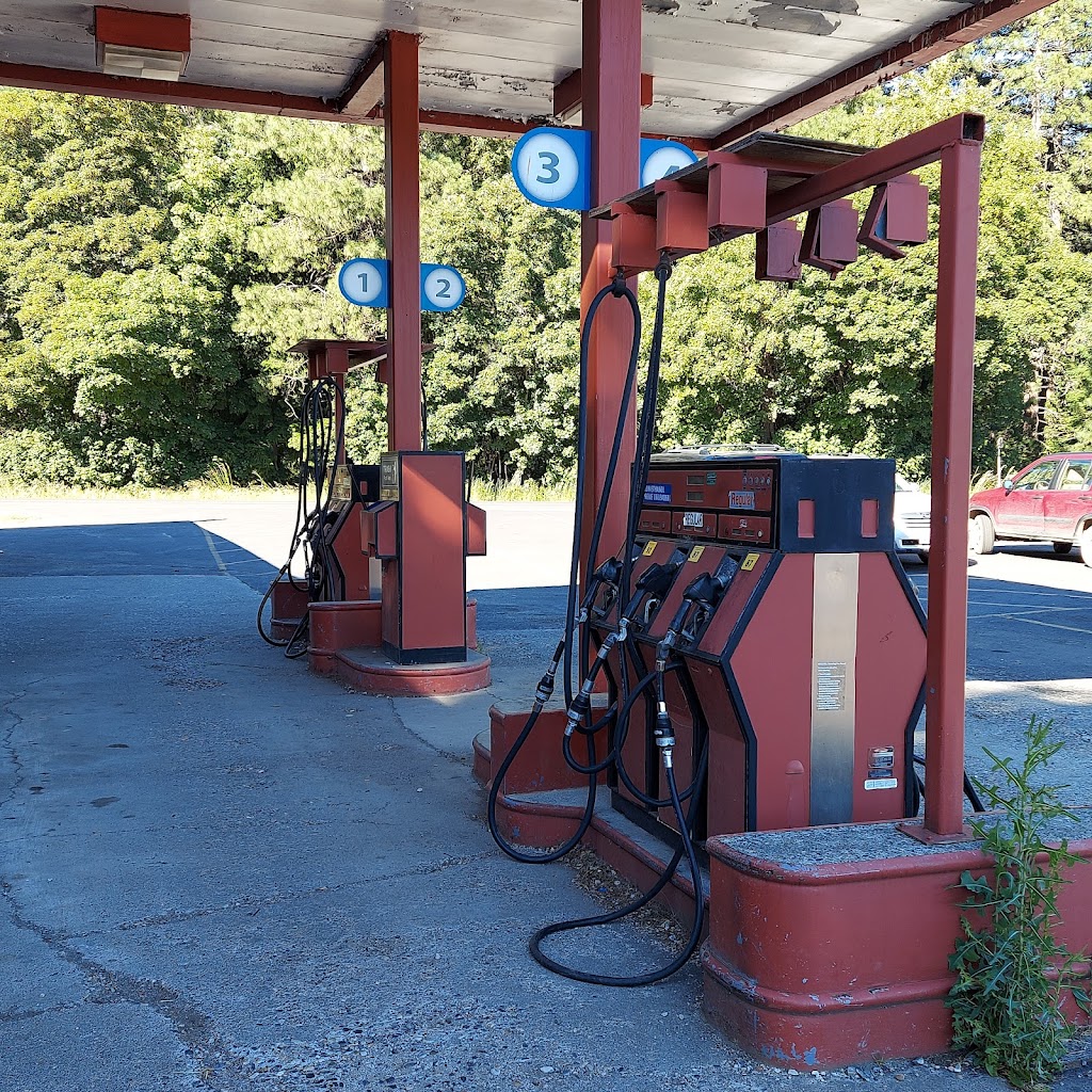 The Station Cafe | 2374 WA-141, Trout Lake, WA 98650, USA | Phone: (509) 395-2211