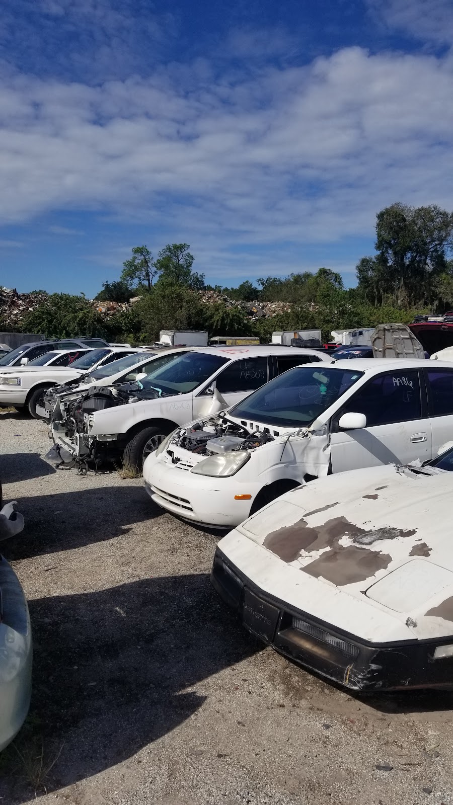 Lakeland Auto Salvage | 3002 E Main St, Lakeland, FL 33801, USA | Phone: (863) 665-3209