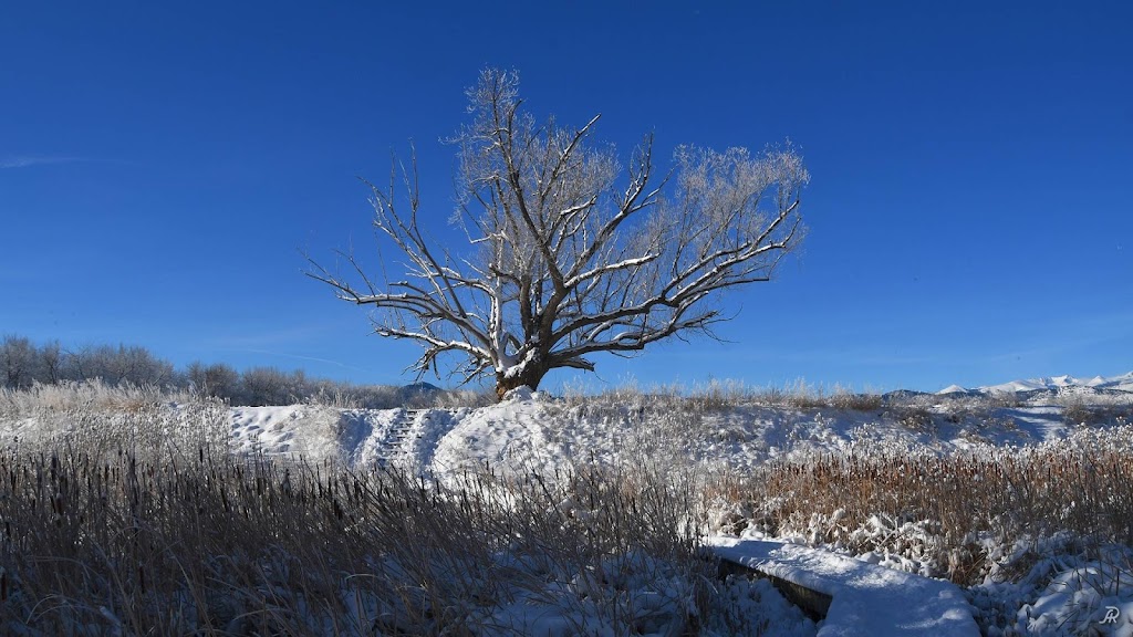 Twin Lakes Open Space | Nautilus Dr, Boulder, CO 80301, USA | Phone: (303) 678-6200