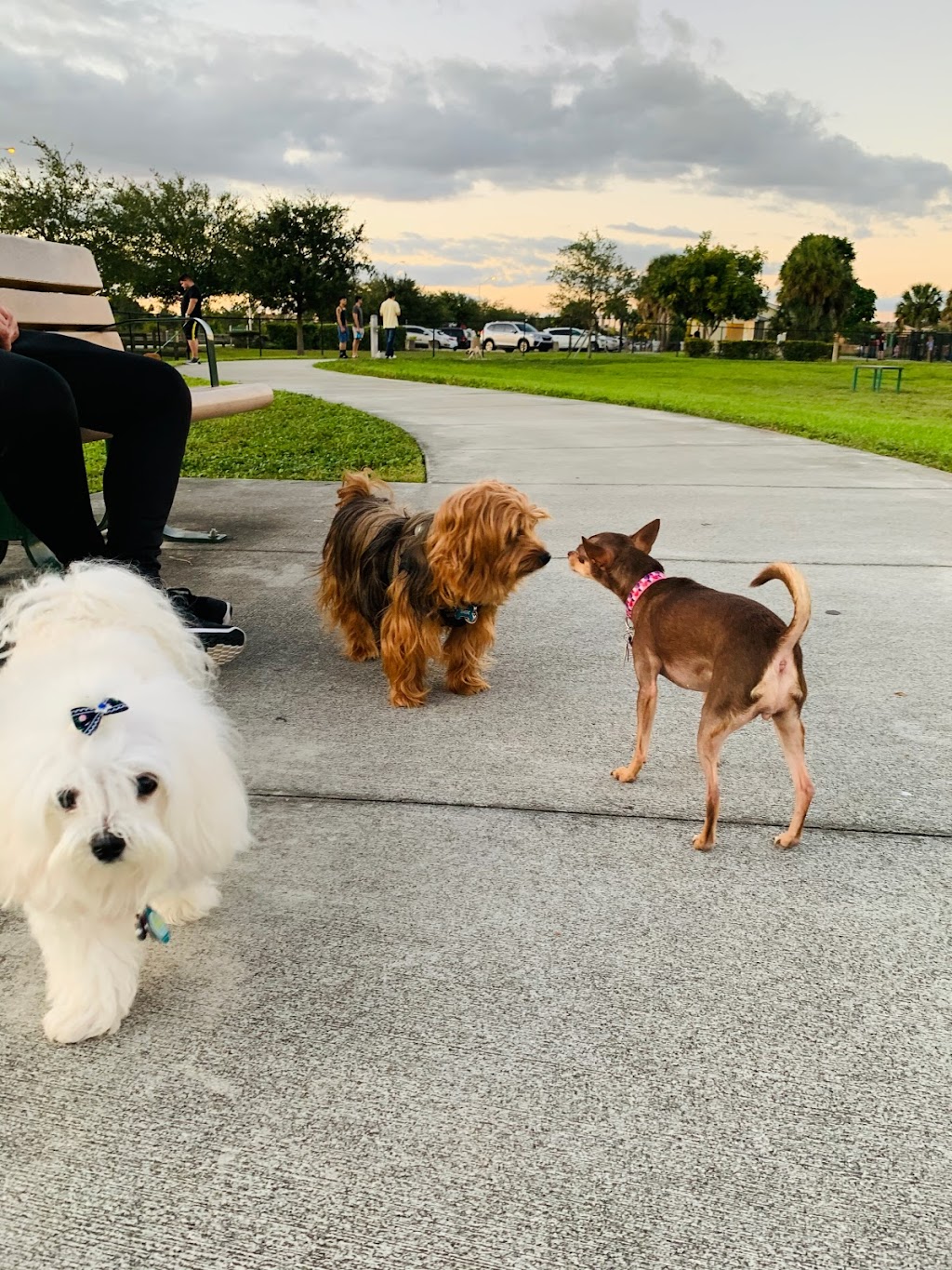 Bark Park | 11255 SW 157th Ave, Miami, FL 33196, USA | Phone: (305) 386-0227