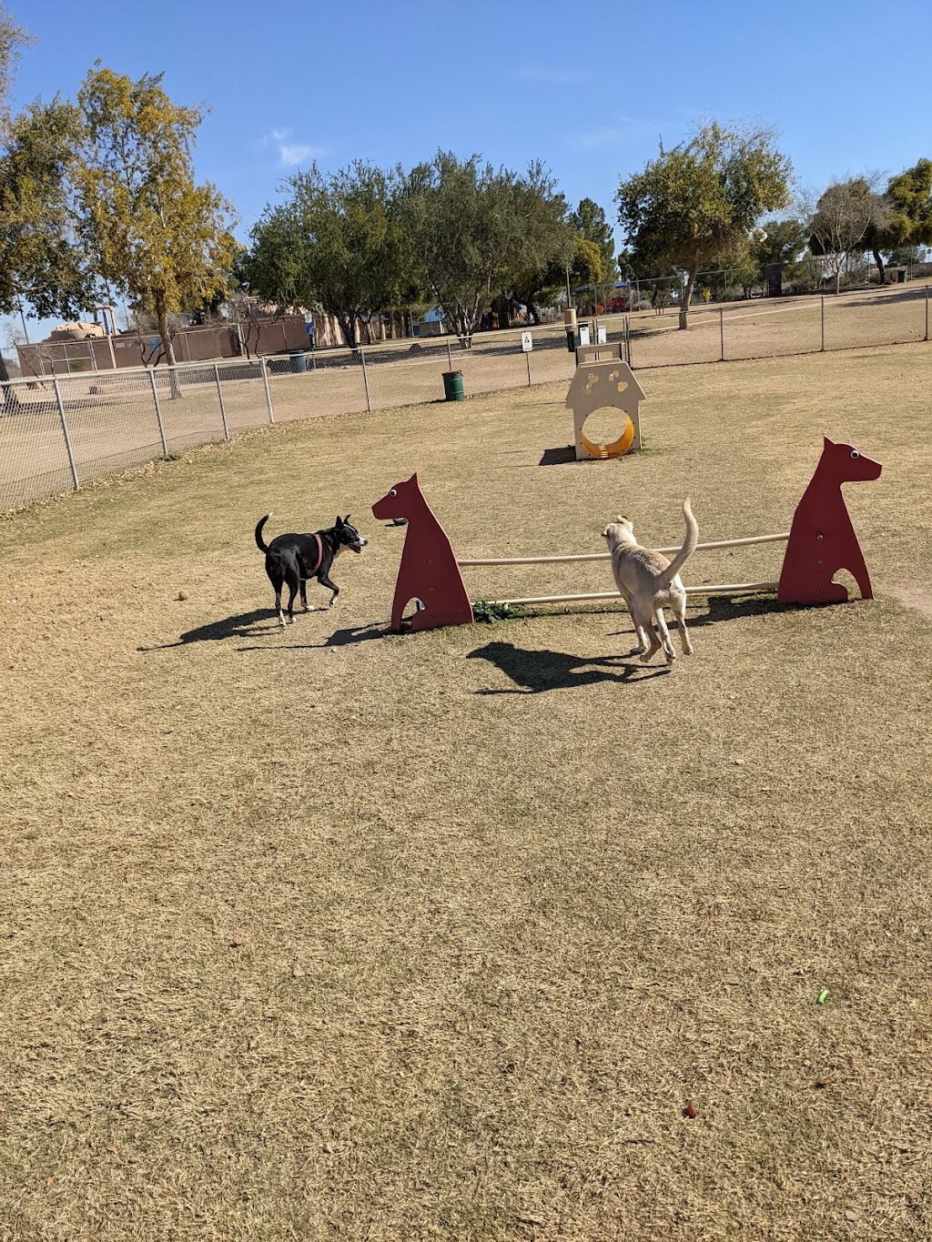 Shawnee Dog Park | 1400 W Mesquite St, Chandler, AZ 85224, USA | Phone: (480) 782-2727