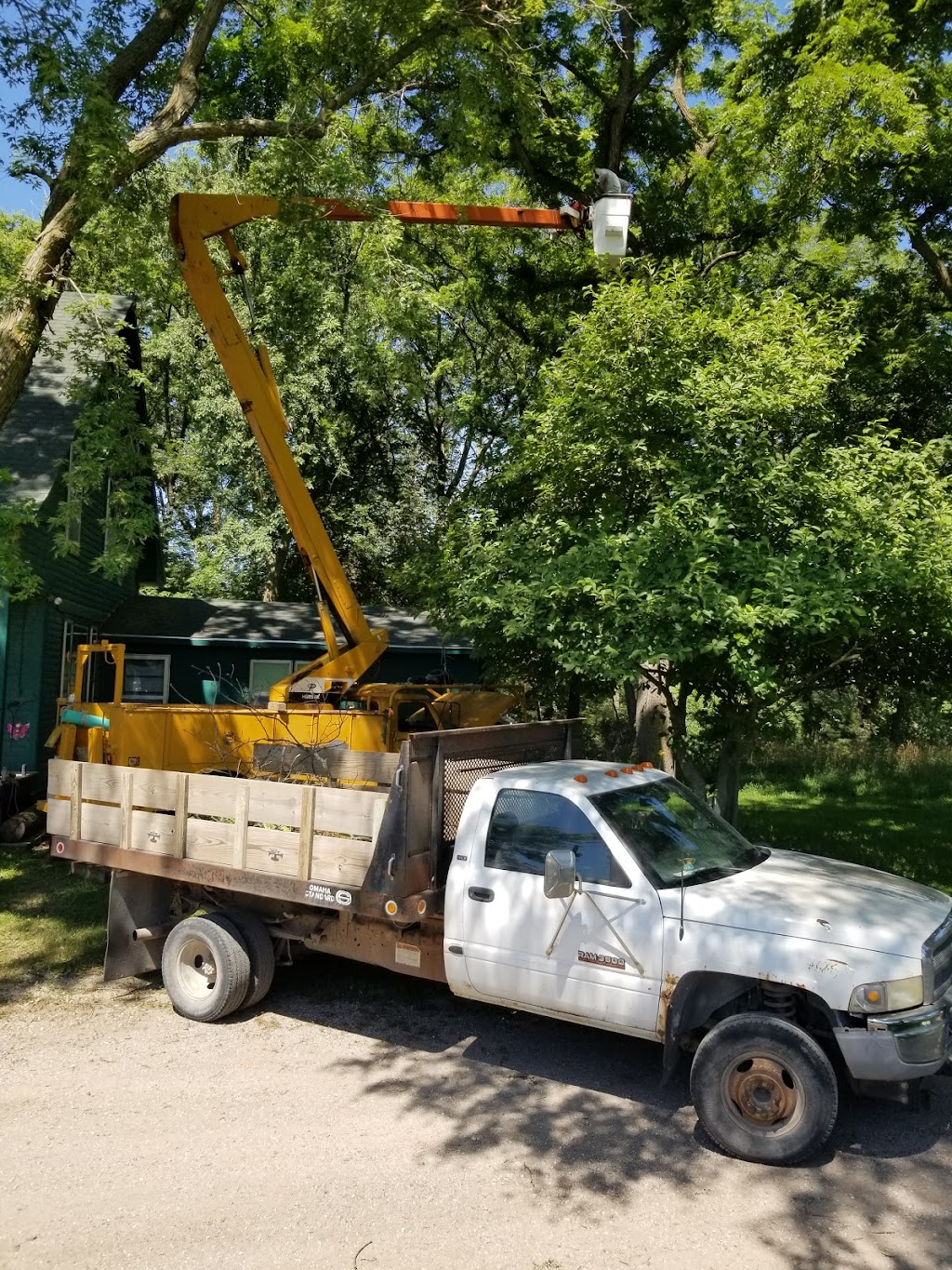 Blairs Tree Service Excavating and Repair | 11697 County, Rd P26, Blair, NE 68008 | Phone: (402) 533-3763