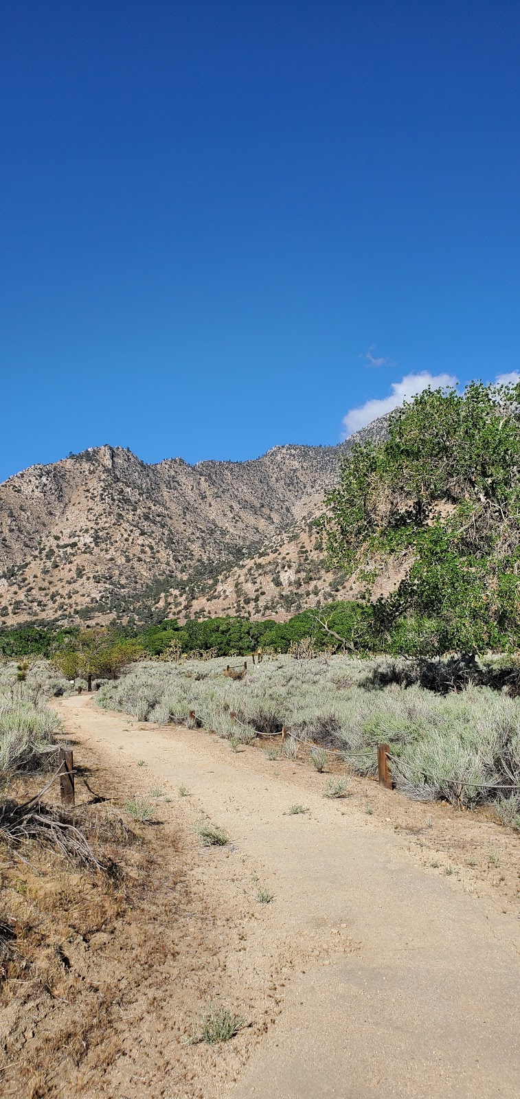 Canebrake Ecological Reserve | 27391 CA-178, Onyx, CA 93255, USA | Phone: (559) 243-4014