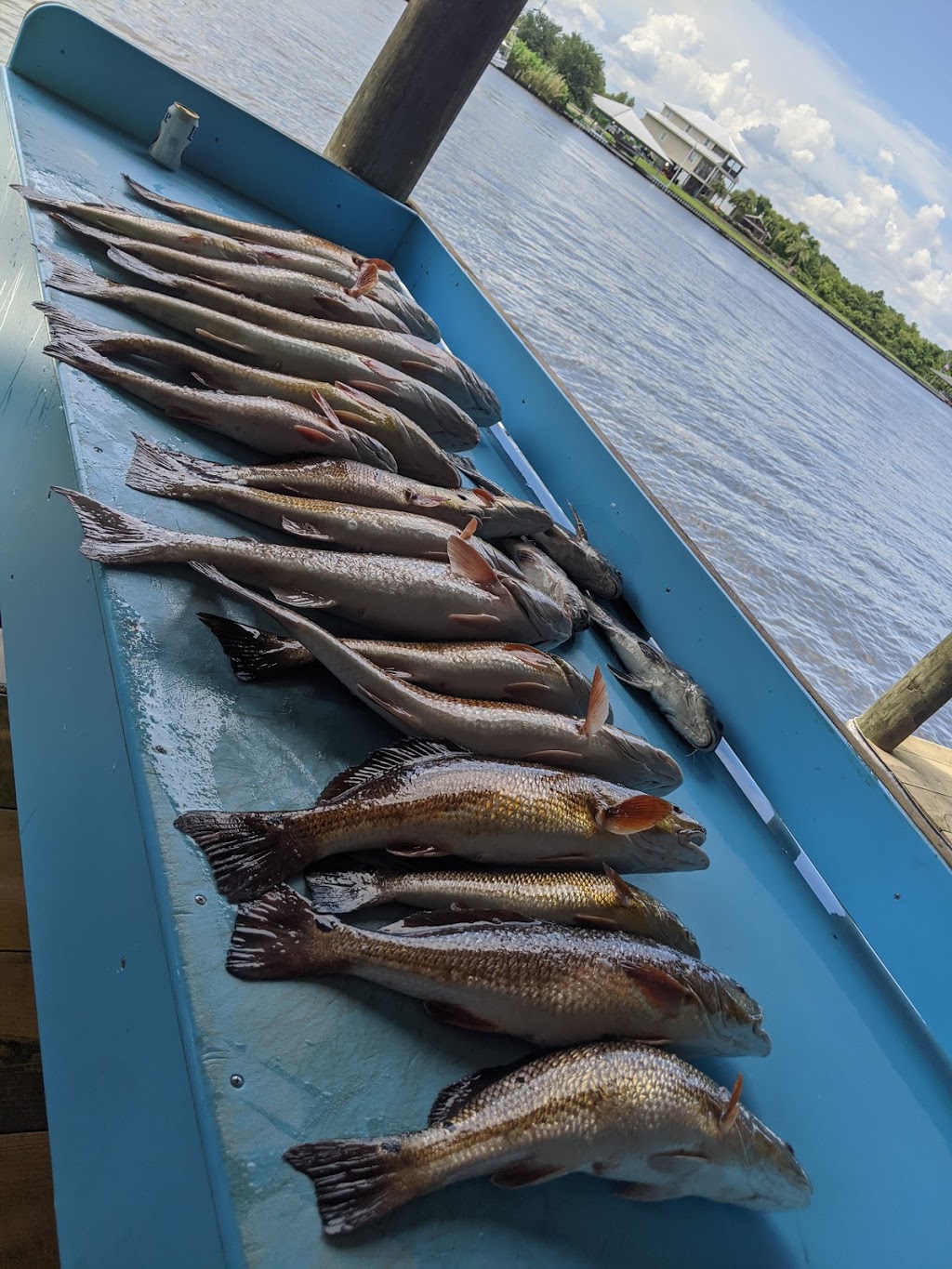 Crescent City Fishing Charters: Lafitte | 4954 Jean Lafitte Blvd, Lafitte, LA 70067, USA | Phone: (504) 915-0392