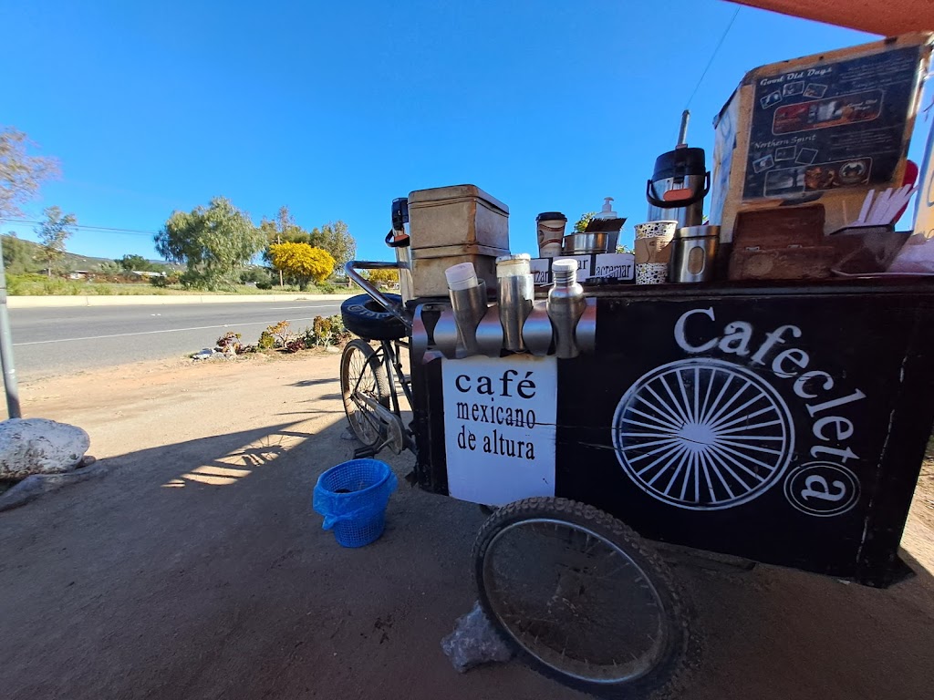 RUGGIEROS COFFEE & CO | México 3 92, 22766 Francisco Zarco, B.C., Mexico | Phone: 646 211 4901