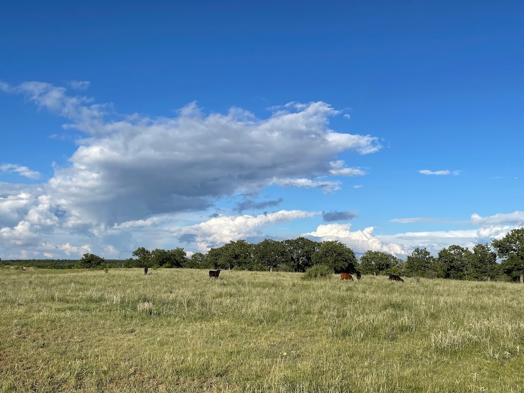 Trinity Land Team | 208 N Main St, Weatherford, TX 76086, USA | Phone: (940) 550-8099