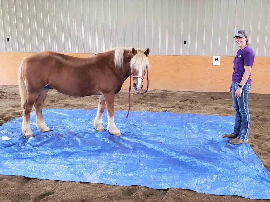 Sugar Run Stables Home of Memories in the Makin’ | 1016 Sugar Run Rd, Avella, PA 15312, USA | Phone: (724) 249-3264