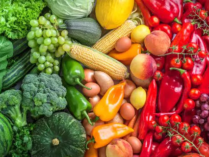 AgentJane Health & Life | 2313 Bay Blvd, Indian Rocks Beach, FL 33785, USA | Phone: (727) 314-0116