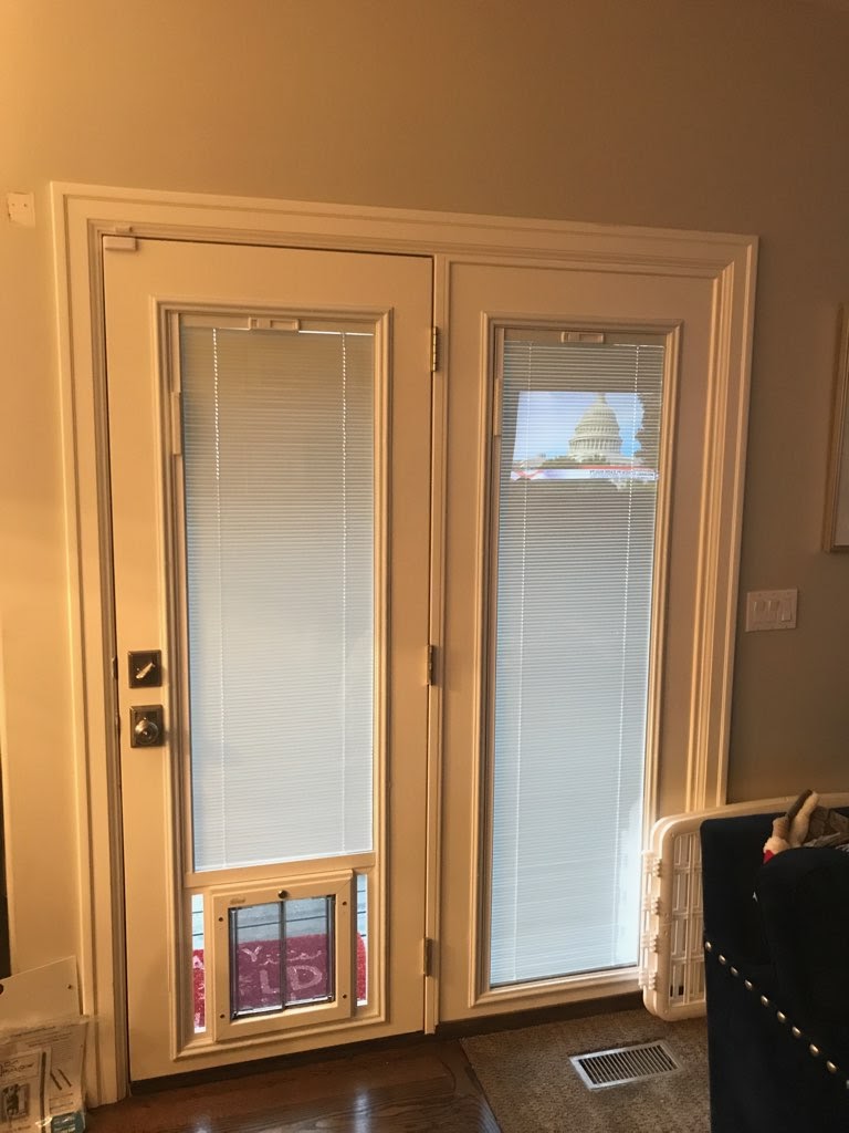 Glass Pet Doors | 2649 Bridle Dr, Mead, CO 80542, USA | Phone: (801) 652-9446
