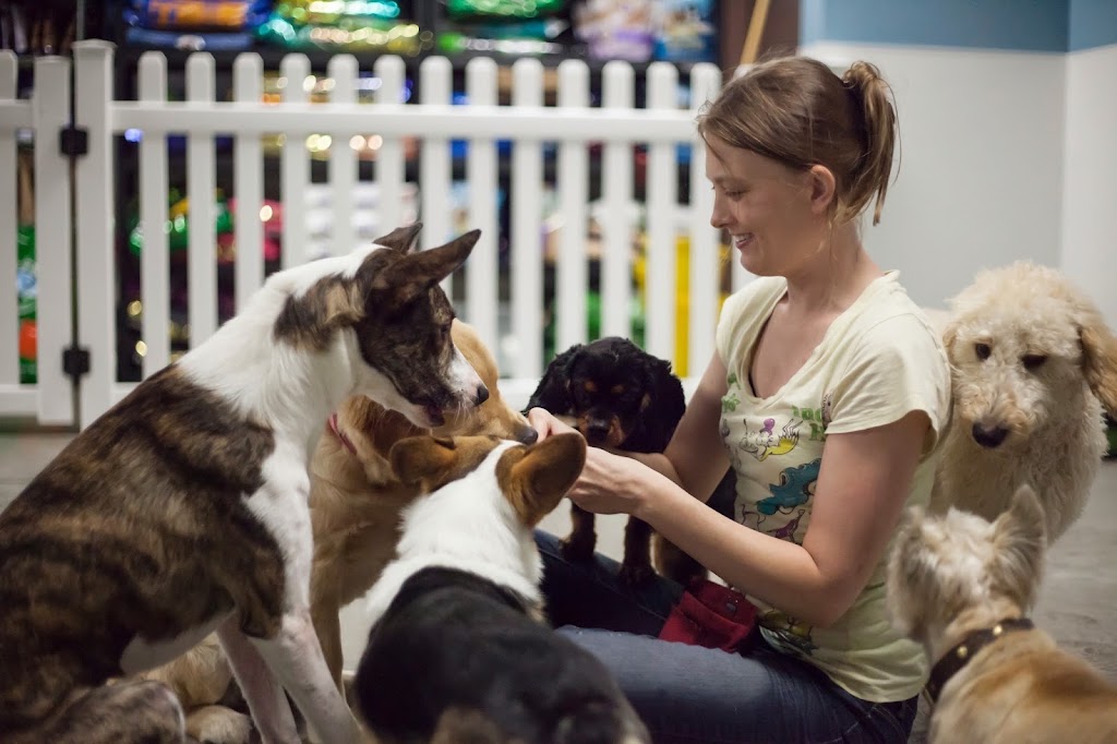 Tabby & Jacks Pet Supplies, Grooming and Doggie Daycare | 6925 University Ave, Middleton, WI 53562, USA | Phone: (608) 841-1133