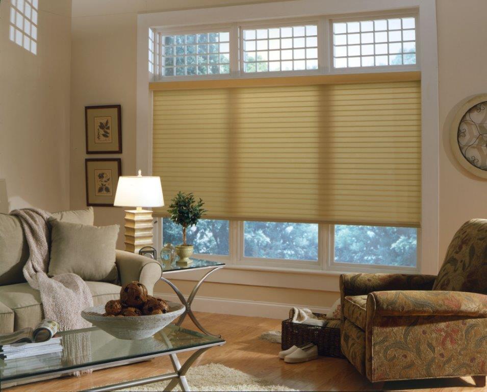Statewide Blinds, Shutters and More | 3030 Starkey Blvd UNIT 207, New Port Richey, FL 34655, USA | Phone: (813) 480-8638