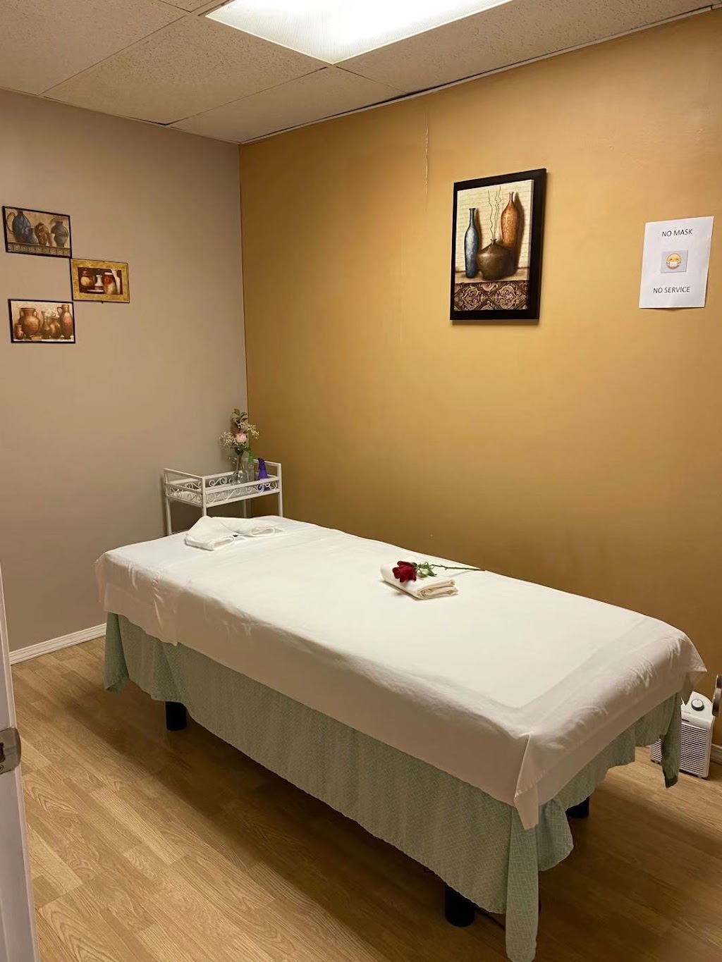 Cozy Massage | 1177 S Duchesne Dr, St Charles, MO 63301, USA | Phone: (636) 757-3980