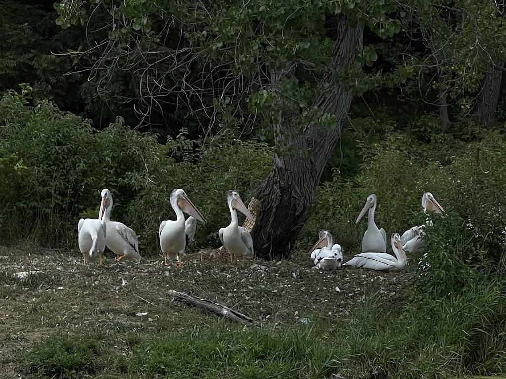 Wildlife Safari Park | 16406 292nd St, Ashland, NE 68003, USA | Phone: (402) 944-9453