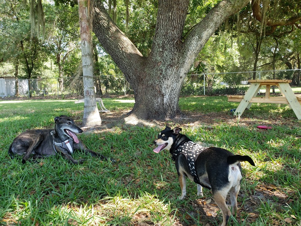 Otts Off-Leash Dog Sanctuary | 2103 3rd Ave SE, Ruskin, FL 33570, USA | Phone: (813) 645-6411