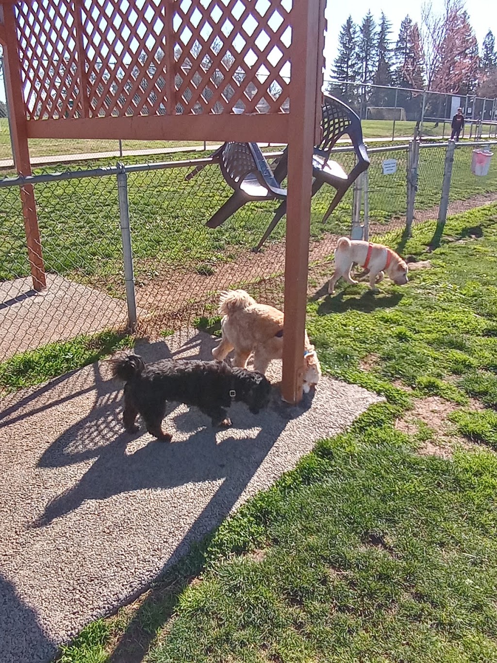 Phoenix Large Dog Park | 9050 Sunset Ave, Fair Oaks, CA 95628, USA | Phone: (916) 966-1036