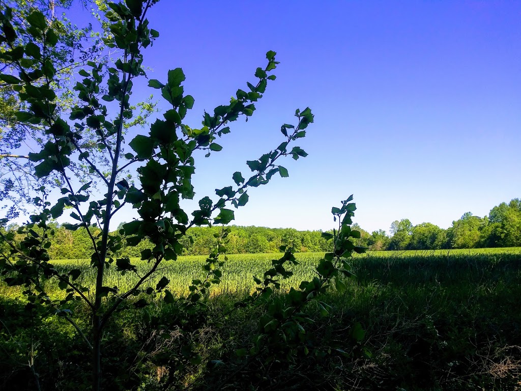 Suffolk Seaboard Coastline Trail | Suffolk, VA 23435, USA | Phone: (757) 514-7250