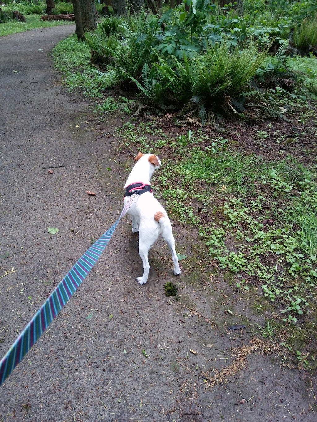 Orchards Highlands Neighborhood Park | 9310 NE 112th Ave, Vancouver, WA 98662, USA | Phone: (360) 397-2285