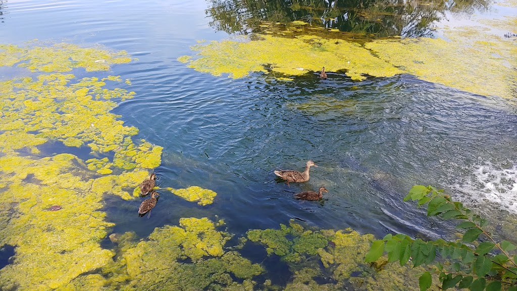 Roseland Golf and Curling Club | 455 Kennedy Dr W, Windsor, ON N9G 1S8, Canada | Phone: (519) 969-5112