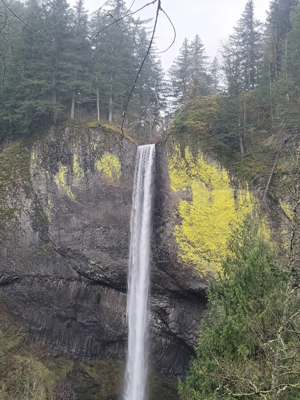 Latourell Falls Trailhead | Historic Columbia River Hwy, Corbett, OR 97019, USA | Phone: (503) 241-3762