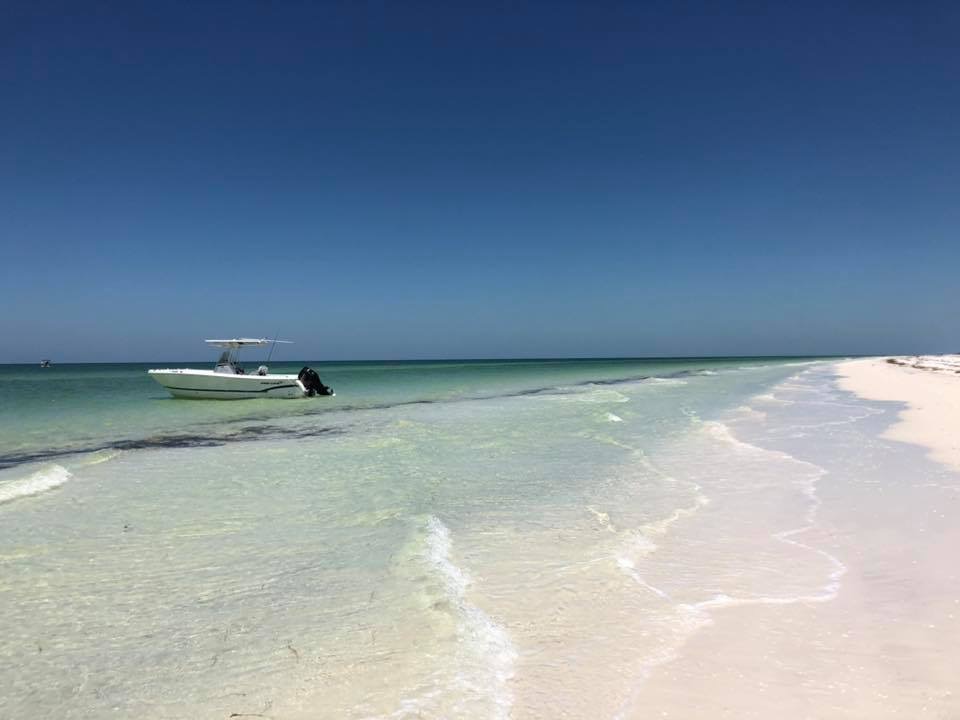 Private Island Charters | Alt 19, Palm Harbor, FL 34683, USA | Phone: (727) 534-8818