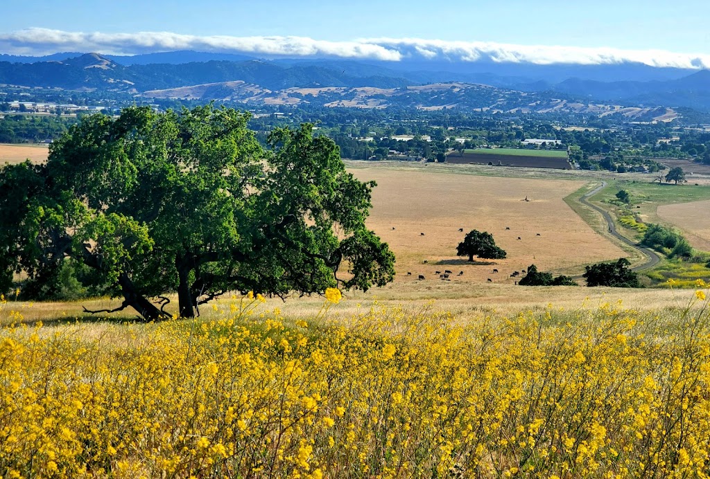 Coyote Lake Harvey Bear Ranch County Park | 10840 Coyote Lake Rd, Gilroy, CA 95020, USA | Phone: (408) 842-7800