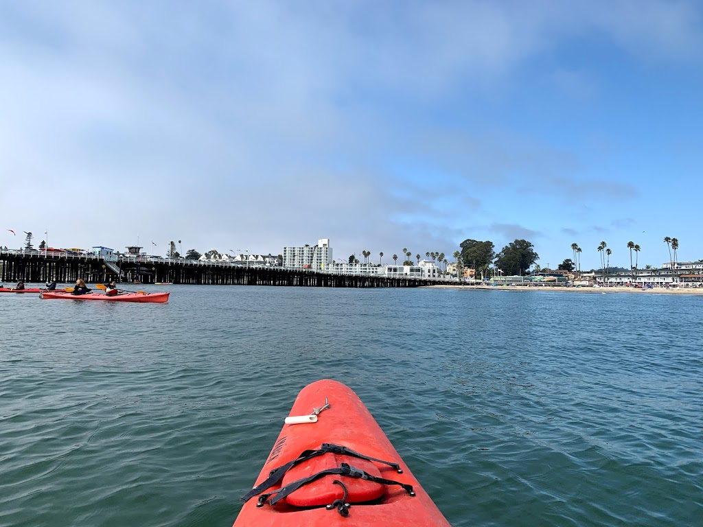 Venture Quest Kayaking | 2 Municipal Wharf, Santa Cruz, CA 95060, USA | Phone: (831) 425-8445