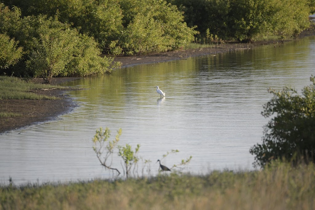 The Colonys Lakeshore Trail | Shoreline Trail, The Colony, TX 75056, USA | Phone: (877) 264-4386