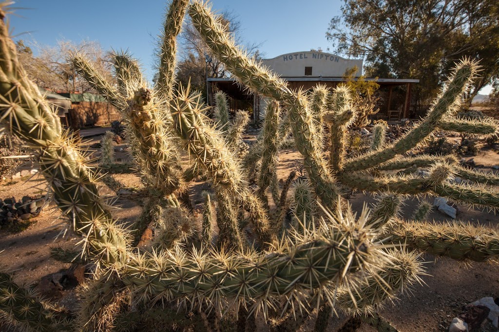 Hotel California | 057307117, 107355 Nipton Rd, Nipton, CA 92364, USA | Phone: (760) 856-2335 Hotel California | 057307117, 107355 Nipton Rd, Nipton, CA 92364, USA | Phone: (760) 856-2335