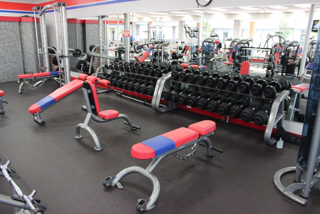 Go M.A.D. Fitness Express | 1507 N Telegraph Rd, Monroe, MI 48162, USA | Phone: (734) 682-5453