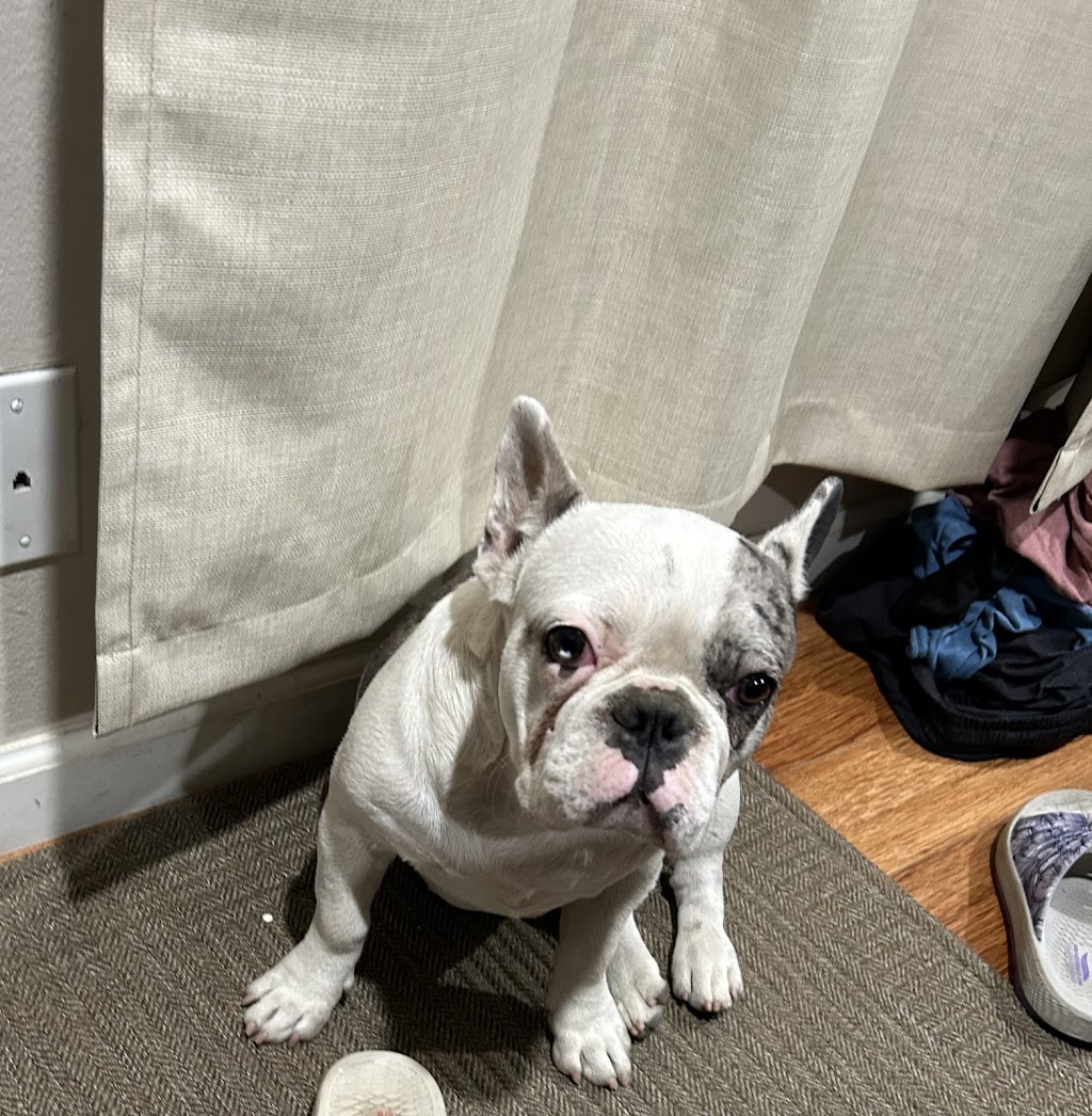 Los Angeles Cancer Network | 25425 Orchard Village Rd suite 150, Valencia, CA 91355, USA | Phone: (323) 693-2484