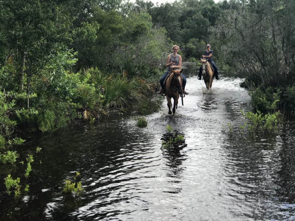 Myakka Trail Rides | 46405 Clay Gully Rd, Myakka City, FL 34251, USA | Phone: (941) 219-9399