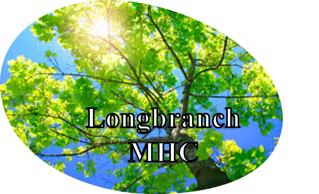 Longbranch Mobile Home Community | 9600 East 47th Street South Office #105, Derby, KS 67037, USA | Phone: (316) 330-7531