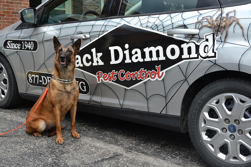 Black Diamond Pest Control (Northern Kentucky) | 99 N Main St, Walton, KY 41094, USA | Phone: (859) 429-9010