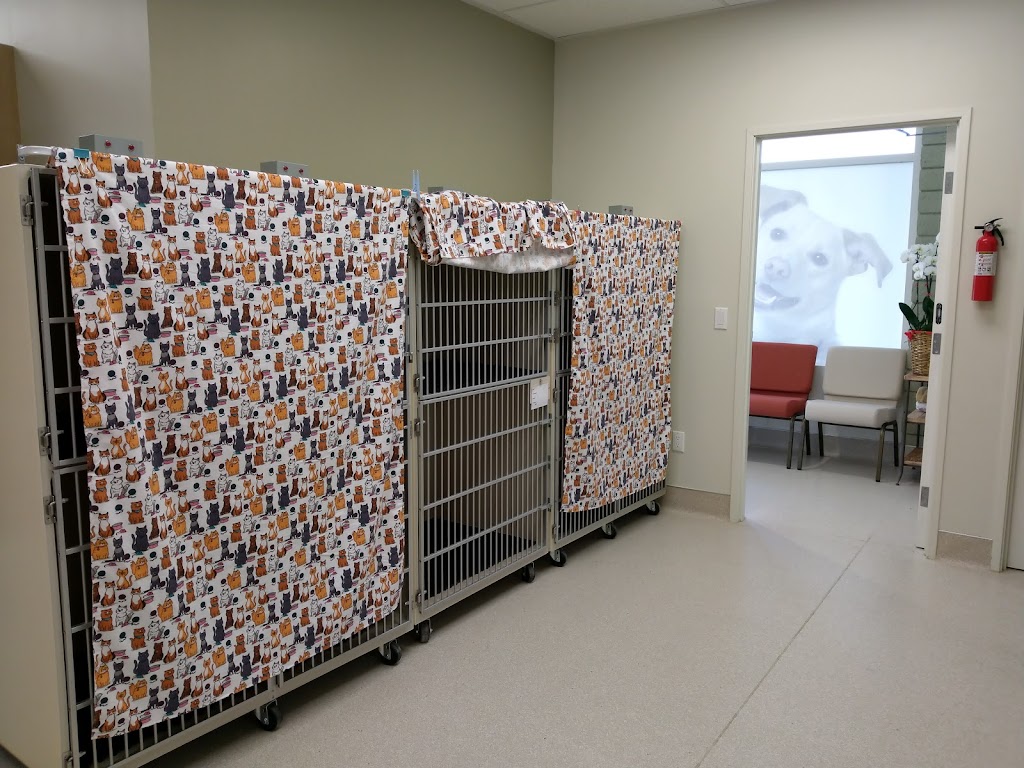 Glendora Pet Care Center | 1948 E Rte 66, Glendora, CA 91740, USA | Phone: (626) 594-0466