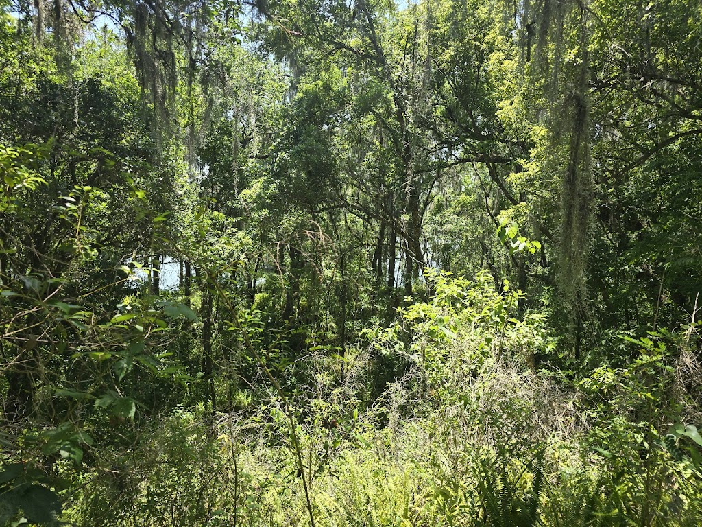 Tenoroc Public Use Area | 3755 Tenoroc Mine Rd, Lakeland, FL 33805, USA | Phone: (863) 606-0093