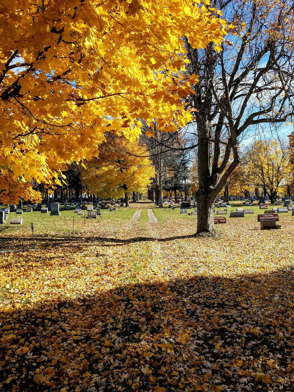 Lancaster Rural Cemetery | 70 Cemetery Rd, Lancaster, NY 14086, USA | Phone: (716) 681-8419