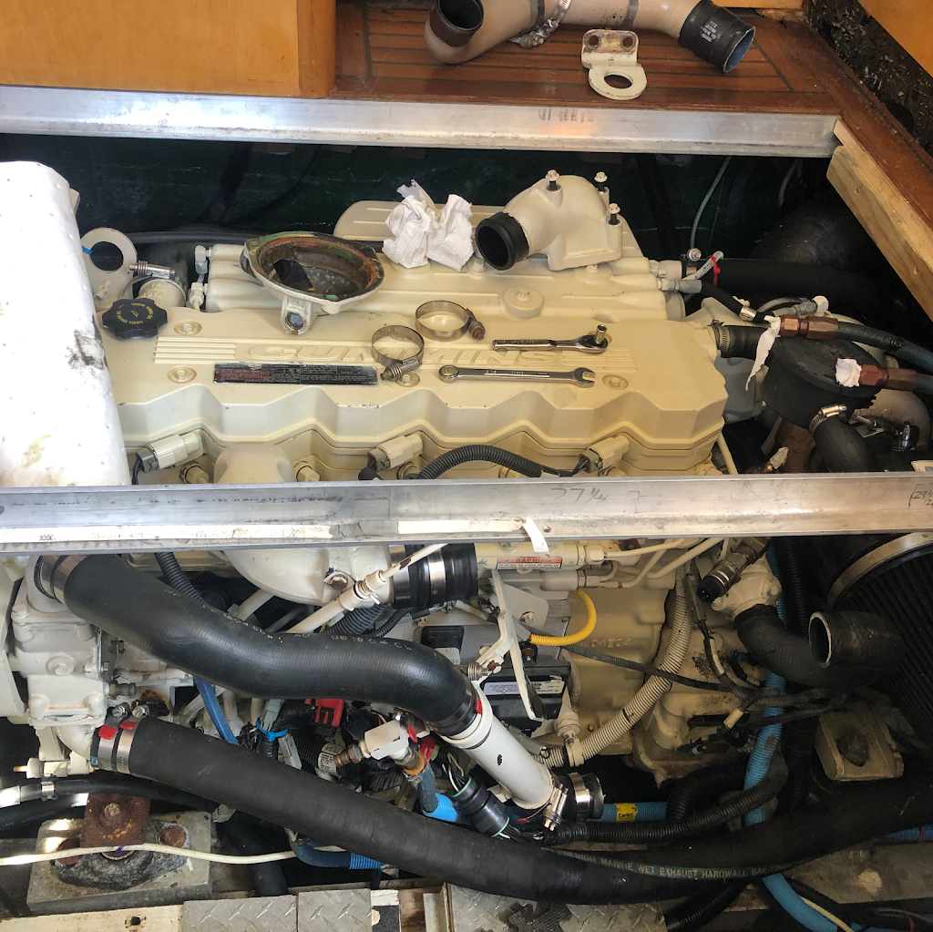 Salty Paws Charters and Marine Mechanical LLC | 6528 Walter Reed Dr, Gloucester, VA 23061, USA | Phone: (804) 832-7382