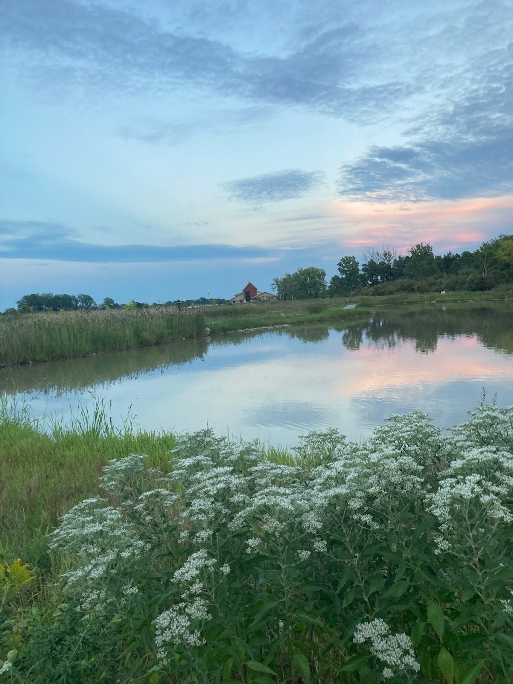 International Wildlife Refuge Alliance | 5437 W Jefferson Ave, Trenton, MI 48183, USA | Phone: (734) 692-7671