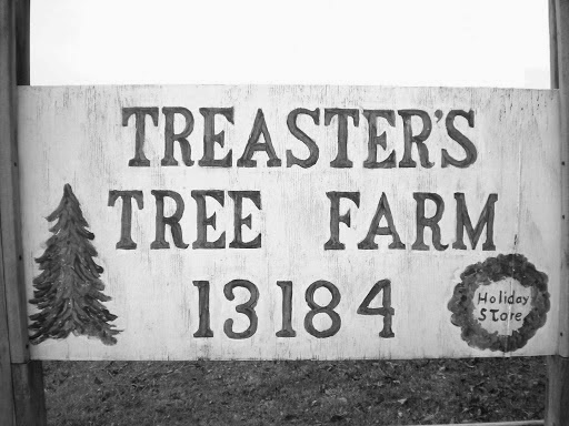 Treasters Tree Farm | 13184 Gore Orphanage Rd, Wakeman, OH 44889, USA | Phone: (614) 230-7031