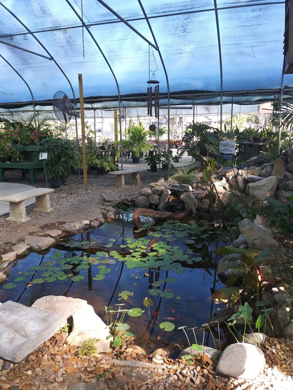 Kerbys Nursery & Landscaping | 2311 S Parsons Ave, Seffner, FL 33584, USA | Phone: (813) 685-3265